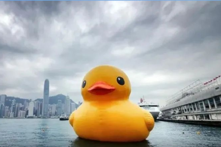 德盈控股通过港交所聆讯，一只小黄鸭撑得起一家上市公司吗？
