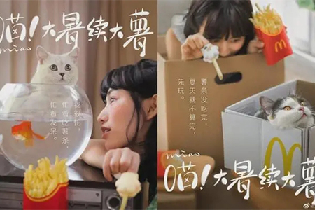 大批“萌宠”走进餐厅，萌宠营销为啥越来越流行？