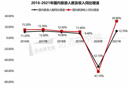 2021 年中国旅游市场分析报告