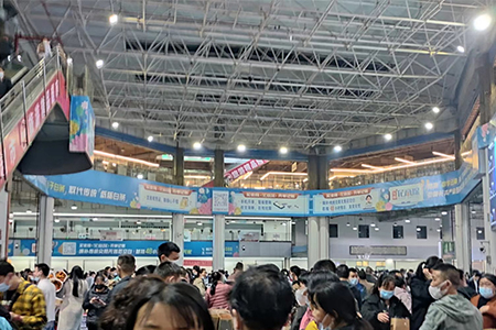 “花卉+文旅”  斗南花卉城将落地华中