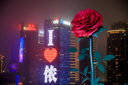 “巨型玫瑰”火出圈，我们找人聊了聊！这个情人节还有哪些你不可错过的浪漫？