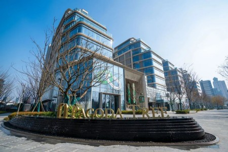 空气 “松动”了，烟火气在槐STAGE的街道里升腾