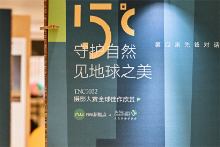 重庆IFS与重庆时代广场联袂呈现城市环保艺术季 “开放的六月”首展雕塑和数字艺术作品