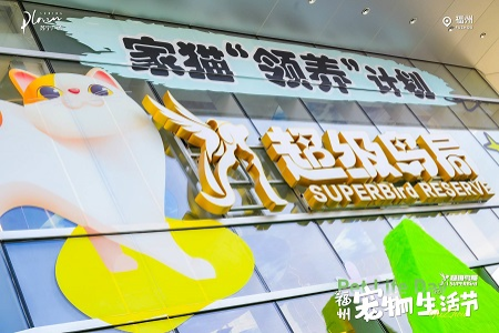 超级鸟局“福州宠物生活节”完美收官