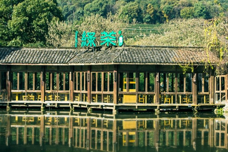 绿茶餐厅，“美食荒漠”中的网红餐厅