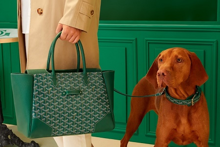 一贯低调的高级箱包品牌GOYARD，将于成都开出亚洲首间双层店