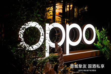 OPPO发布年度影像旗舰，2025年计划新布局1000+门店